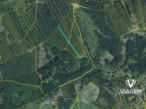 Prodej lesa, Hradiště, 3924 m2