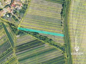 Prodej pole, Svatobořice-Mistřín, 874 m2