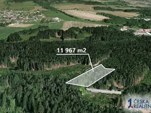 Prodej podílu lesa, Loužnice, 5983 m2