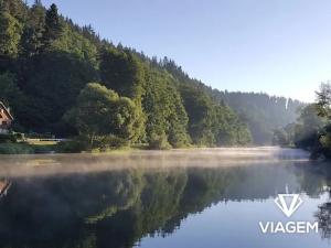 Prodej lesa, Bečice, 36578 m2