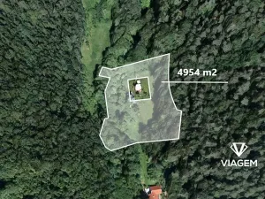 Prodej lesa, Všelibice, 4954 m2