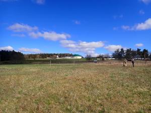 Pronájem komerčního pozemku, Velká Chmelištná, 10000 m2