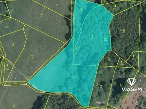 Prodej podílu lesa, Kaliště, 2503 m2