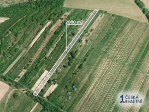 Prodej podílu zahrady, Boleradice, 500 m2