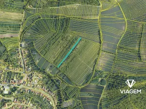 Prodej podílu zahrady, Boleradice, 500 m2