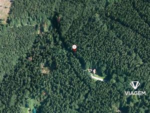 Prodej podílu lesa, Morávka, 2066 m2