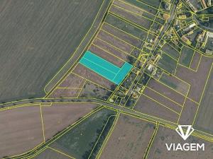 Prodej podílu pole, Podbořany, 934 m2