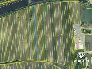 Prodej podílu pole, Hlohovec, 1352 m2