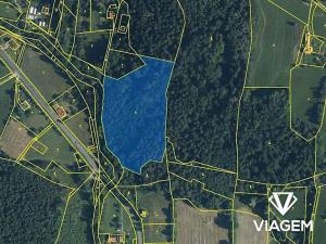 Prodej podílu lesa, Janovice, 1420 m2