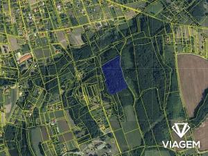 Prodej podílu lesa, Doubrava, 1081 m2