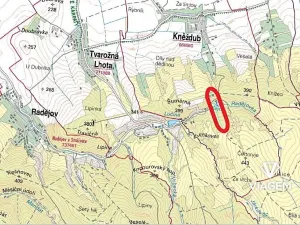 Prodej podílu lesa, Kněždub, 2335 m2