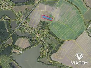 Prodej pole, Chotěšice, 5881 m2