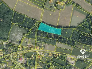 Prodej podílu lesa, Skuhrov, 1301 m2