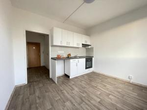 Pronájem bytu 1+1, Litvínov, U Bílého sloupu, 40 m2