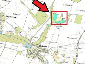 Prodej podílu lesa, Břežany, 7363 m2