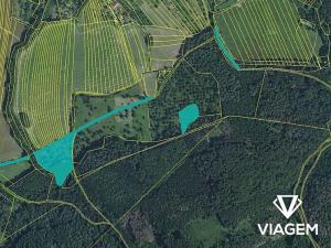 Prodej podílu pole, Cetechovice, 315 m2