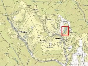 Prodej podílu lesa, Košíky, 3322 m2