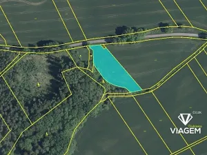 Prodej podílu pole, Častolovice, 1215 m2