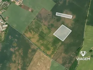 Prodej podílu pole, Veliká Ves, 3762 m2