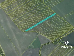 Prodej podílu pole, Velké Pavlovice, 2216 m2