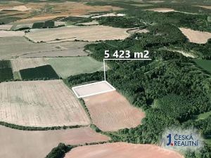 Prodej podílu pole, Mutějovice, 1355 m2