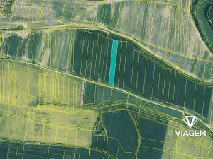 Prodej podílu pole, Dražíč, 641 m2