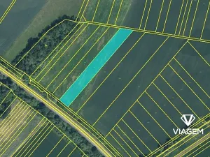 Prodej podílu pole, Veselí nad Moravou, 3972 m2