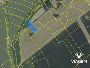 Prodej podílu pole, Radějovice, 724 m2