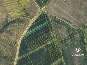 Prodej podílu pole, Tupesy, 567 m2