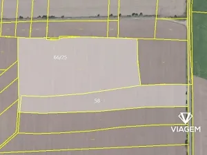 Prodej podílu pole, Máslovice, 7716 m2