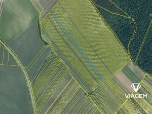 Prodej podílu pole, Starý Poddvorov, 1011 m2