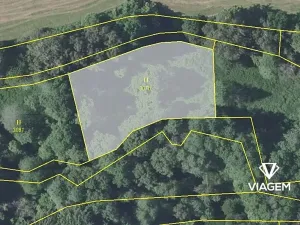 Prodej podílu pole, Pravonín, 1005 m2