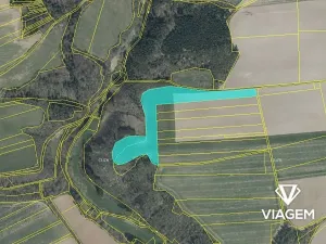 Prodej podílu pole, Šípy, 1150 m2
