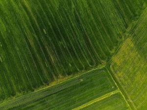 Prodej podílu pole, Oleška, 3426 m2