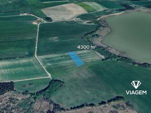 Prodej pole, Sirá, 4300 m2