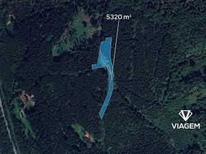 Prodej podílu lesa, Morávka, 886 m2