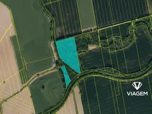 Prodej lesa, Opava, 25368 m2