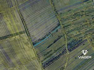 Prodej pole, Hroznová Lhota, 1827 m2