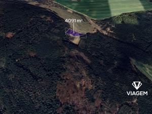 Prodej lesa, Březina, 4091 m2