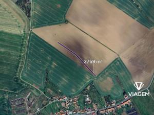 Prodej pole, Koryčany, 2759 m2