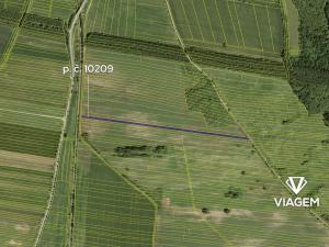 Prodej podílu pole, Javorník, 1541 m2