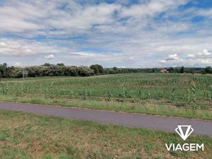 Prodej pozemku pro bydlení, Víceměřice, 4978 m2