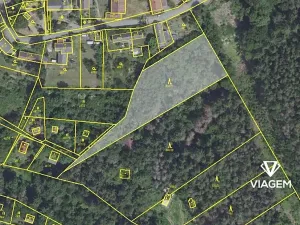 Prodej lesa, Sýkořice, 3177 m2