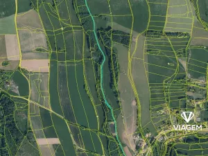 Prodej lesa, Košťálov, 5619 m2