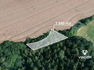 Prodej podílu pole, Borek, 782 m2