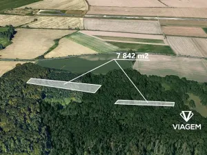 Prodej lesa, Kravaře, 7842 m2