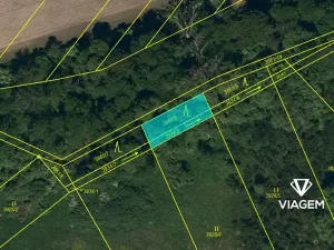 Prodej lesa, Kravaře, 7842 m2