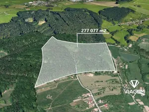 Prodej podílu lesa, Šanov, 2432 m2