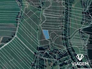 Prodej podílu pole, Veselí nad Lužnicí, 485 m2