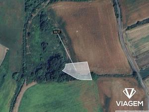 Prodej podílu pole, Bzenec, 579 m2